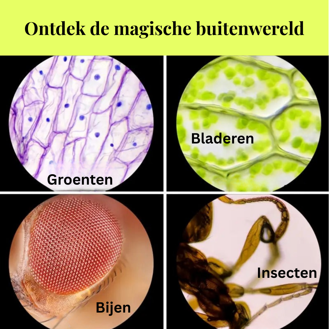 Magische handmicroscoop voor Kinderen  | Ontdek de wereld met licht & zoom